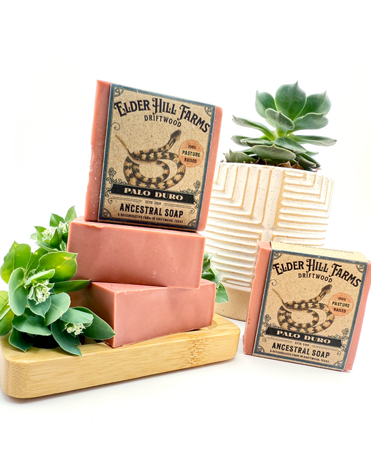 Two bars of soap with 'Elder Hill Farms' packaging on a wooden stand with succulents.